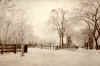 DaneStreetinWinter.jpg (235784 bytes)