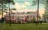 EagleRock.jpg (89868 bytes)