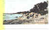 danestbeach3.jpg (29546 bytes)