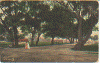 danestreet.gif (93051 bytes)